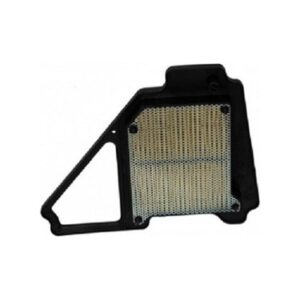 HAVA FİLTRE ELEMANI [2008] YBR