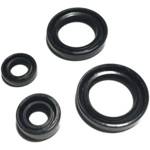 PULSAR NS200 KEÇE TAKIMI