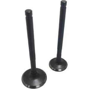 SUBAP TAKIMI [TIRNAKLI] [VTC] YBR